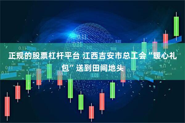 正规的股票杠杆平台 江西吉安市总工会“暖心礼包”送到田间地头